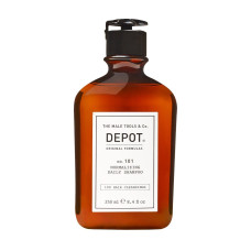 Нормалізуючий щоденний шампунь - Depot 101 Normalizing Daily Shampoo