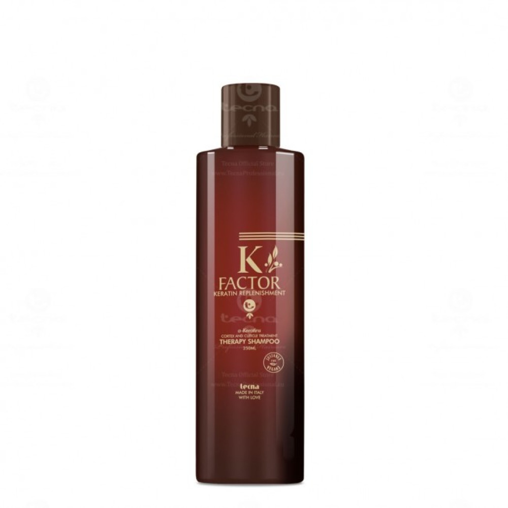 Кератиновый шампунь для поврежденных волос - Tecna K-Factor Therapy Shampoo