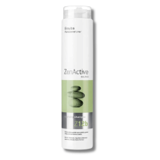 Шампунь для жирного волосся - Erayba Z12b Cleansing Shampoo