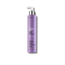 Маска для волосся проти жовтизни - Erayba ABH Silver No-Yellow Mask