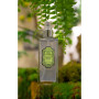 Вода для тіла "Зелений чай та імбир" - La Sultane de Saba Moisturizing Mist Ginger Green Tea Fragrance