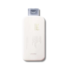 Чоловічий шампунь для шкіри голови та волосся - Lebel Theo Standard Shampoo Vitalize