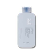 Освіжаючий чоловічий шампунь - Lebel Theo Standard Shampoo Ice Fresh