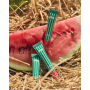 Блиск для губ "Херсонський Кавун" - Lipss Lipper Kherson Watermelon Lip Gloss