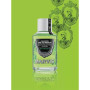 Концентрат для ротової порожнини "М'ята" - Marvis Concentrated Spearmint Mouthwash