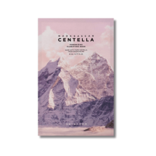 Тканевая маска для сужения пор - Skin 1004 Madagascar Centella Poremizing Clarifying Mask