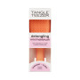 Гребінець для волосся - Tangle Teezer The Ultimate Detangler Mini Salmon Pink & Apricot