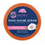 Скраб для тіла - Tree Hut Moroccan Rose Sugar Scrub