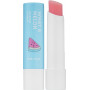 Бальзам для губ зі смаком кавуна - Manyo Factory What A Melon Moisture Lip Balm