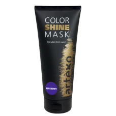 Маска відтінкова - Artego Color Shine Mask - Blueberry